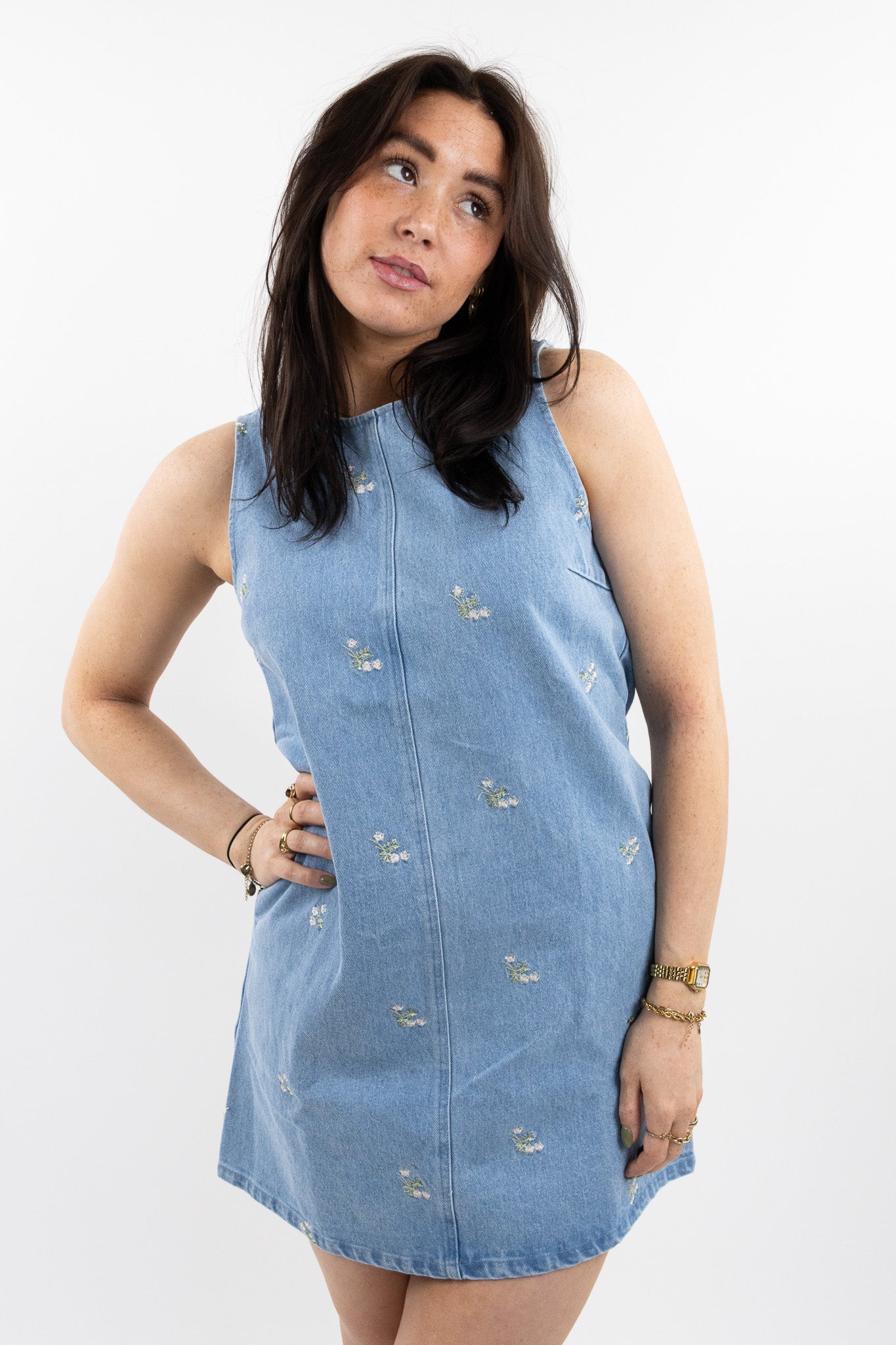 Joan denim dress