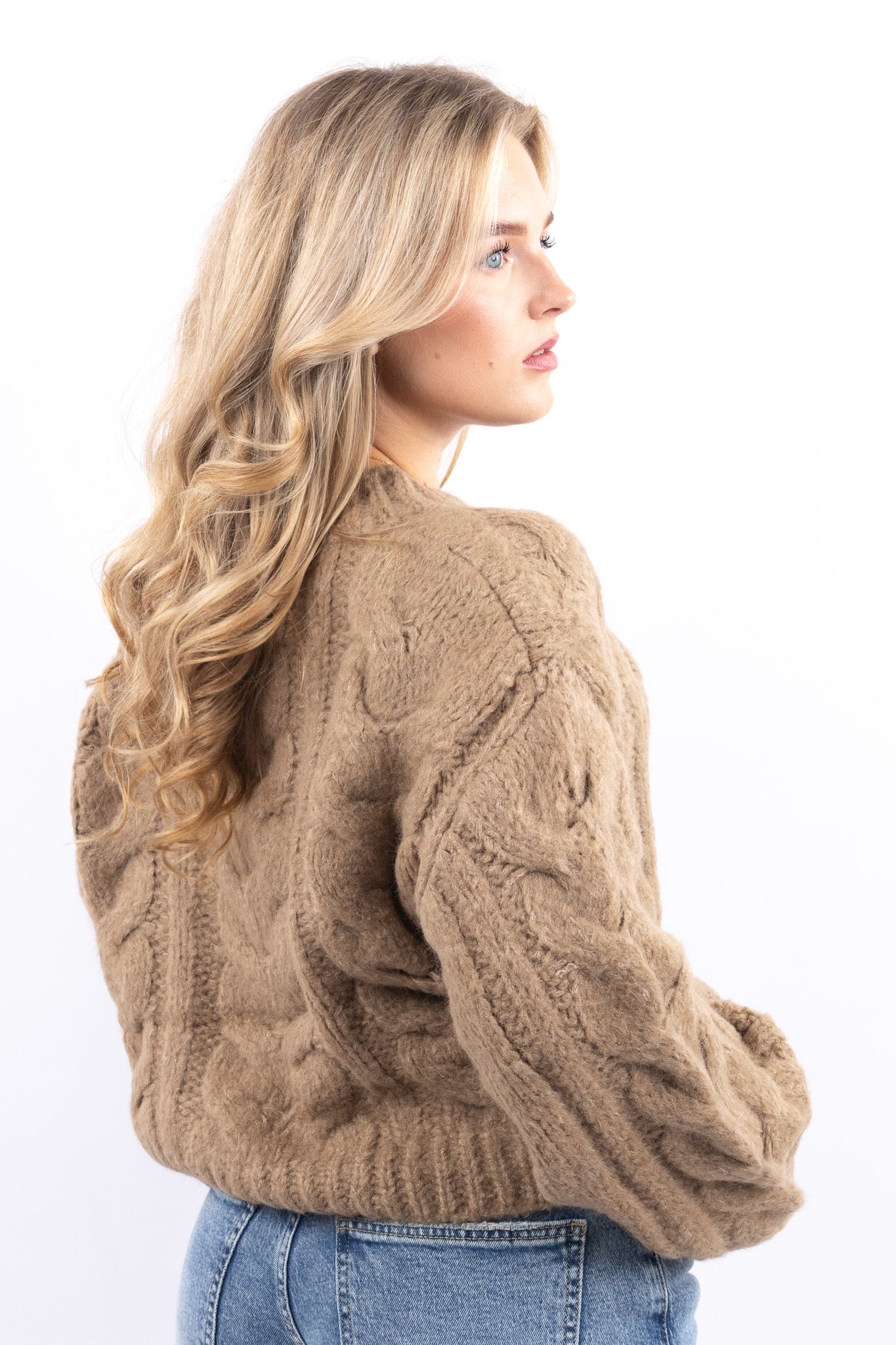 Plush Cable Knit Cardigan
