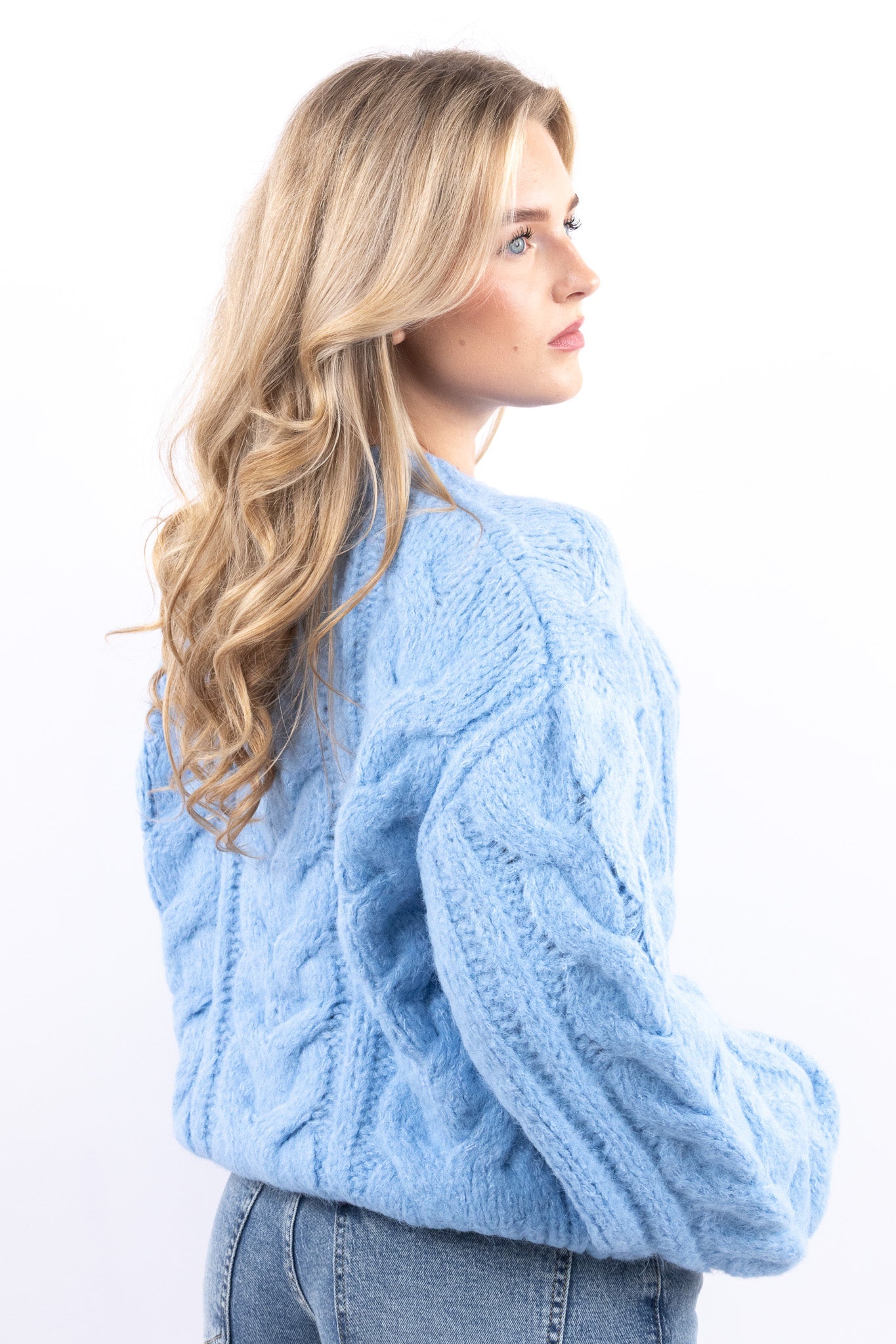 Plush Cable Knit Cardigan